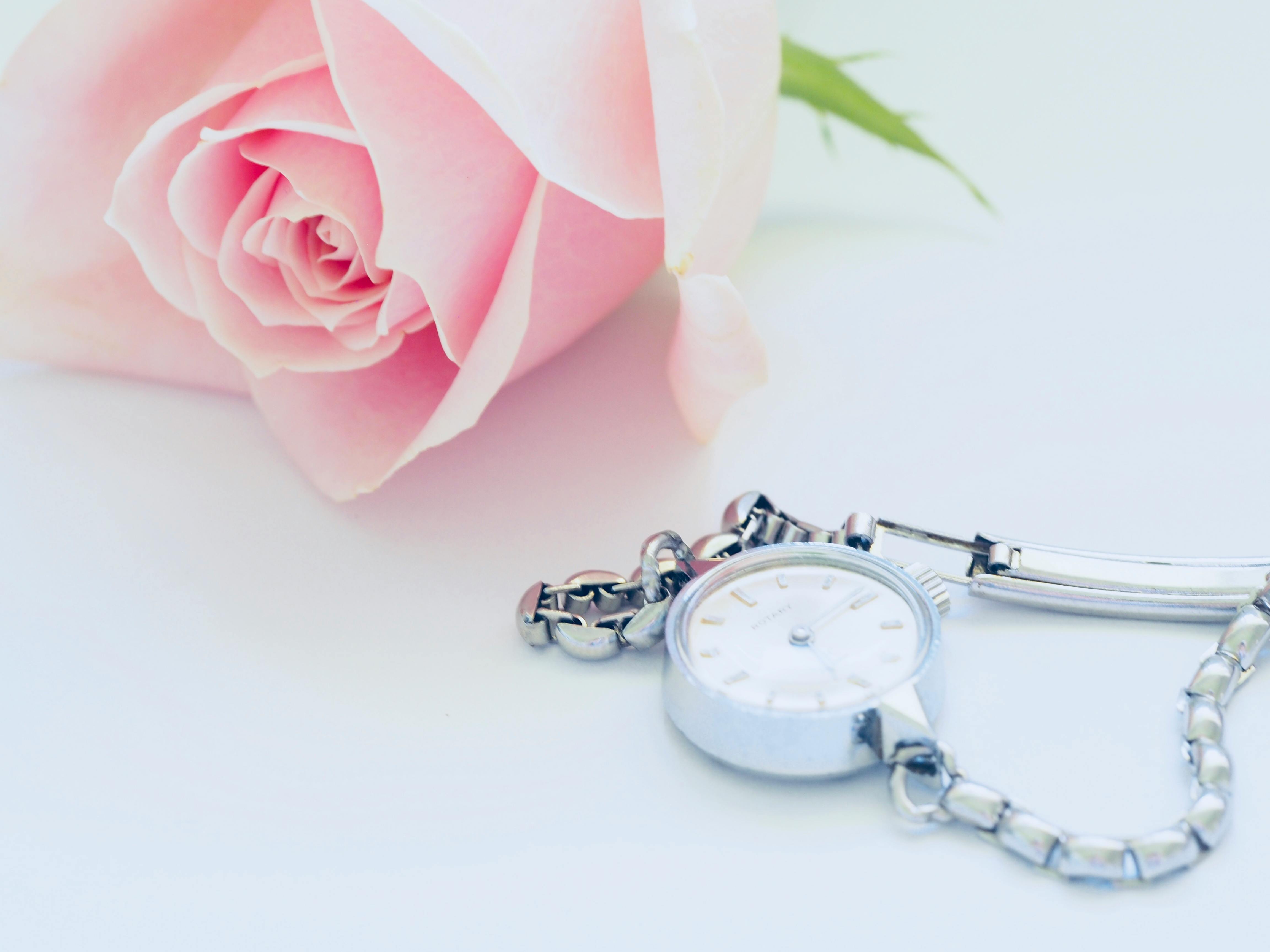 Delicate pink rose paired with a silver watch on a white backdrop, symbolizing elegance and timeless beauty.