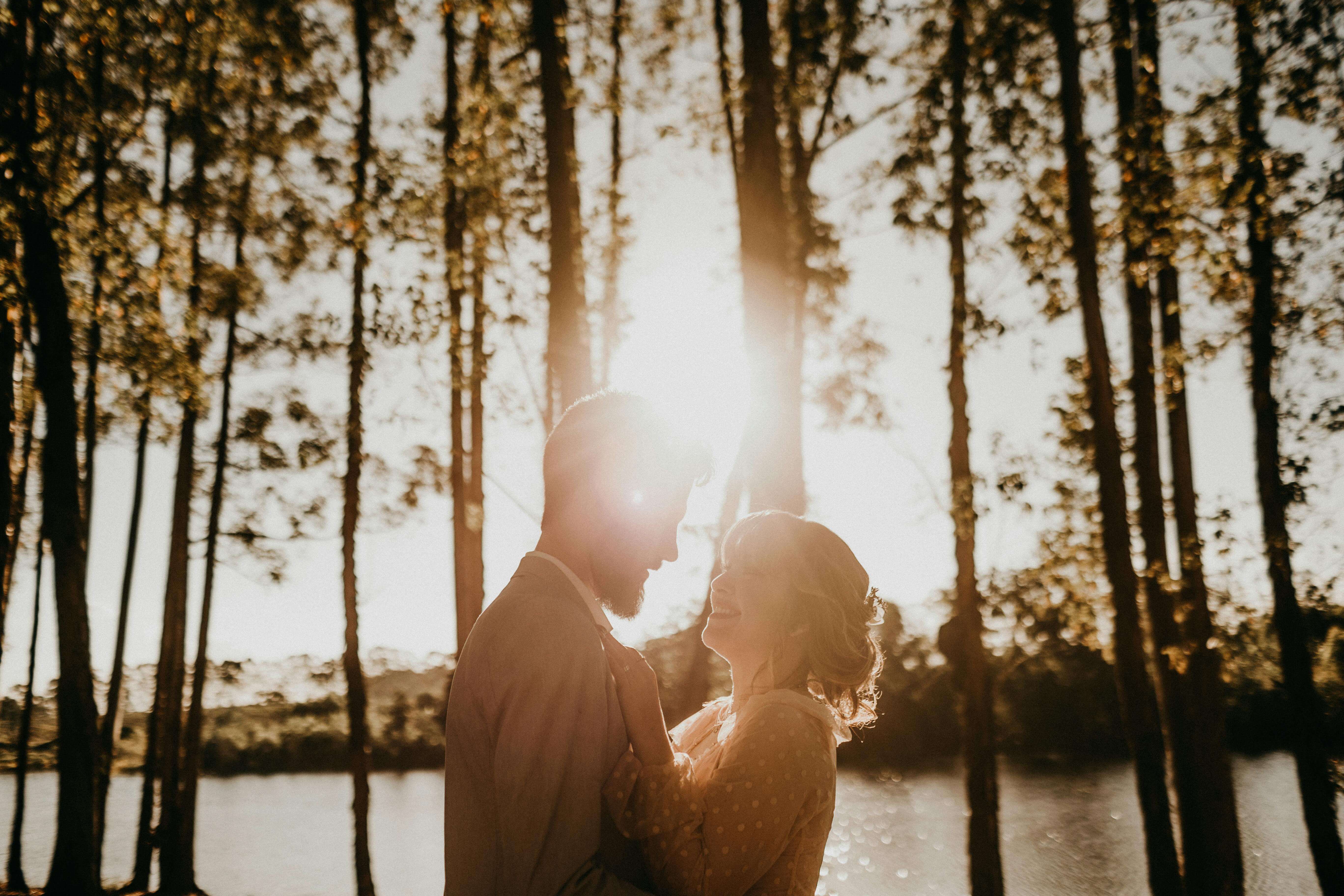 A silhouette of a couple embracing in a forest with golden sunlight streaming through trees, exuding romance.