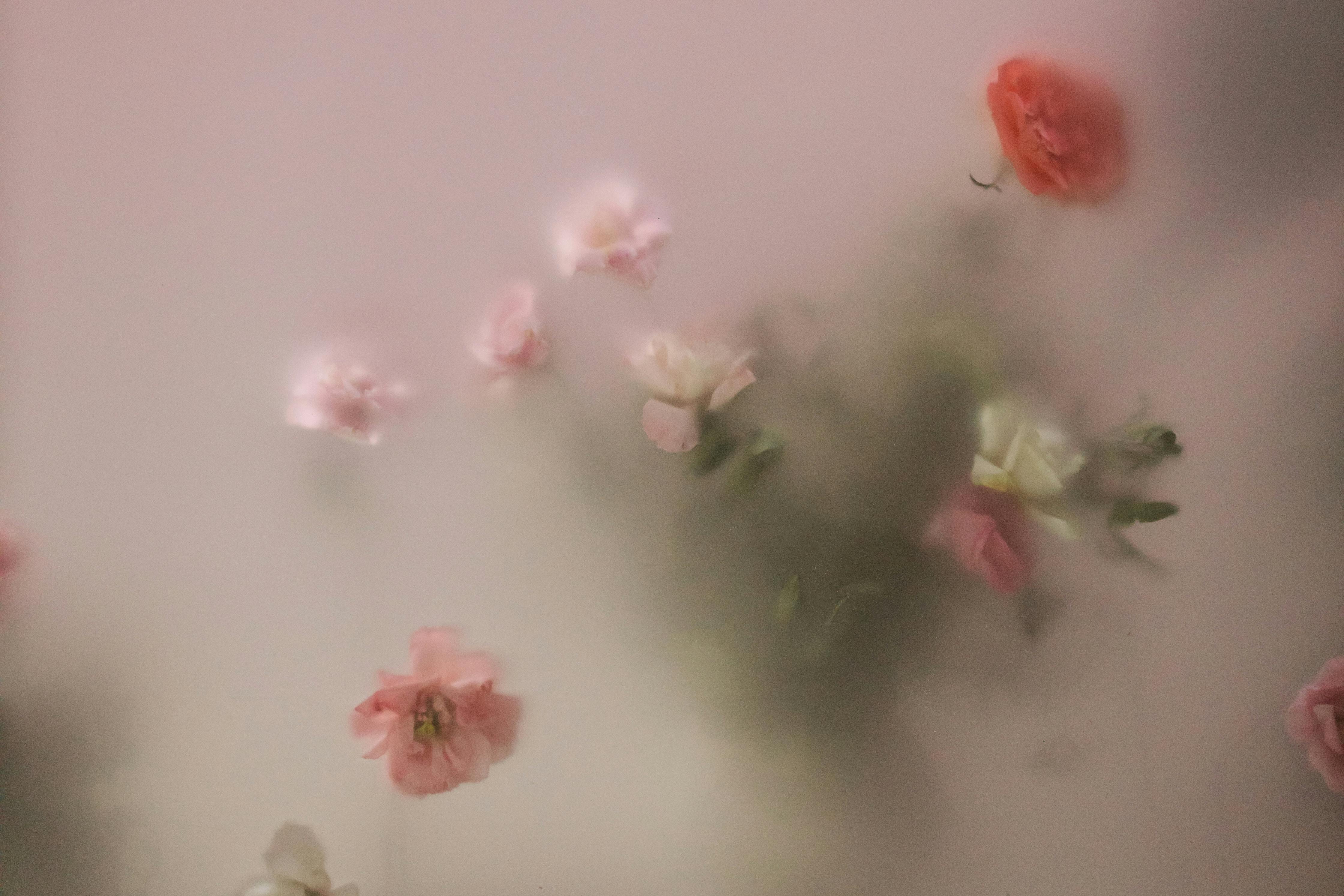 Blurred pastel pink flowers create a dreamy and soft visual effect, ideal for romantic themes.