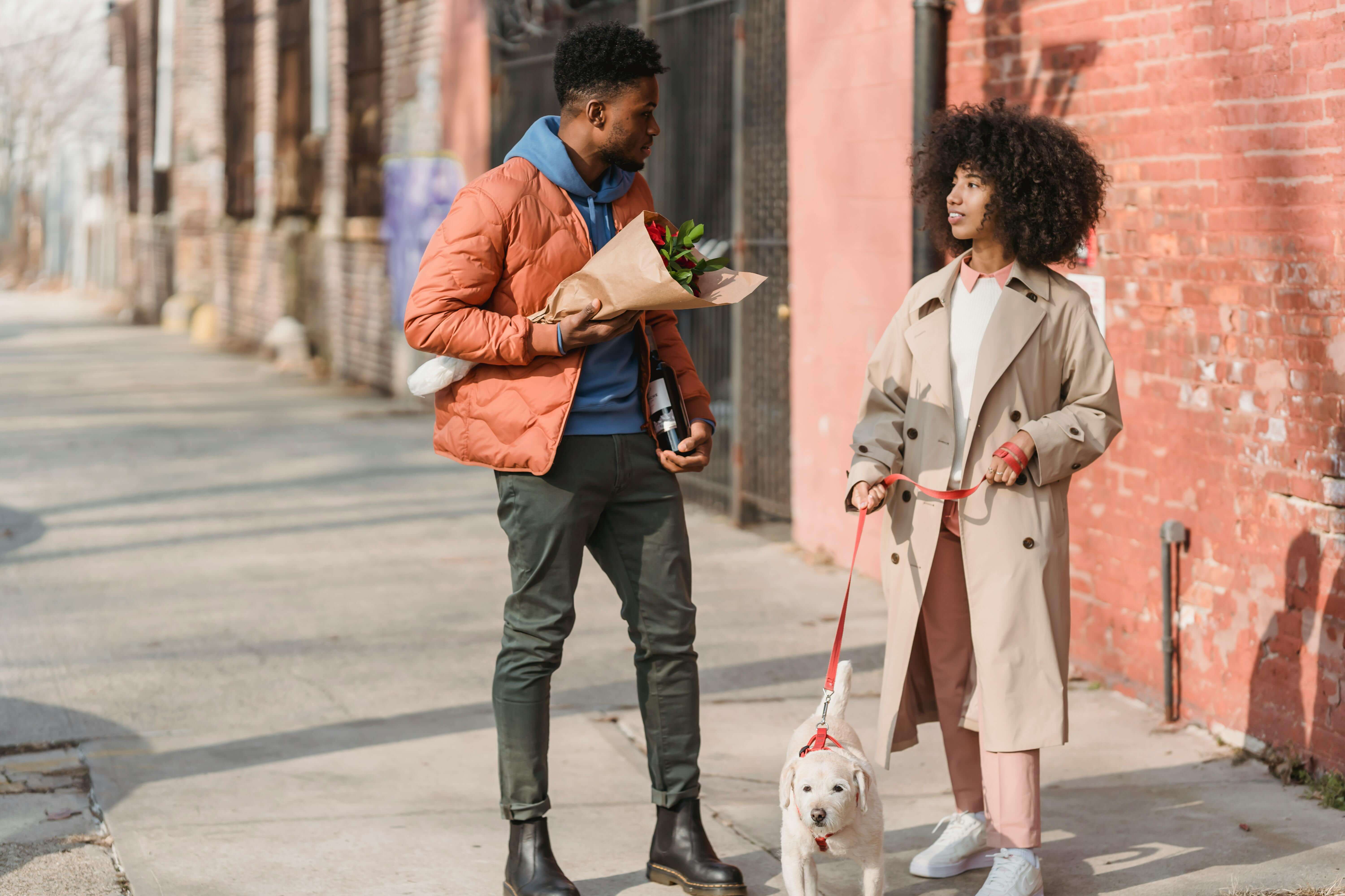 Full body of young African American couple with cute domestic dog and bottle of wine on street