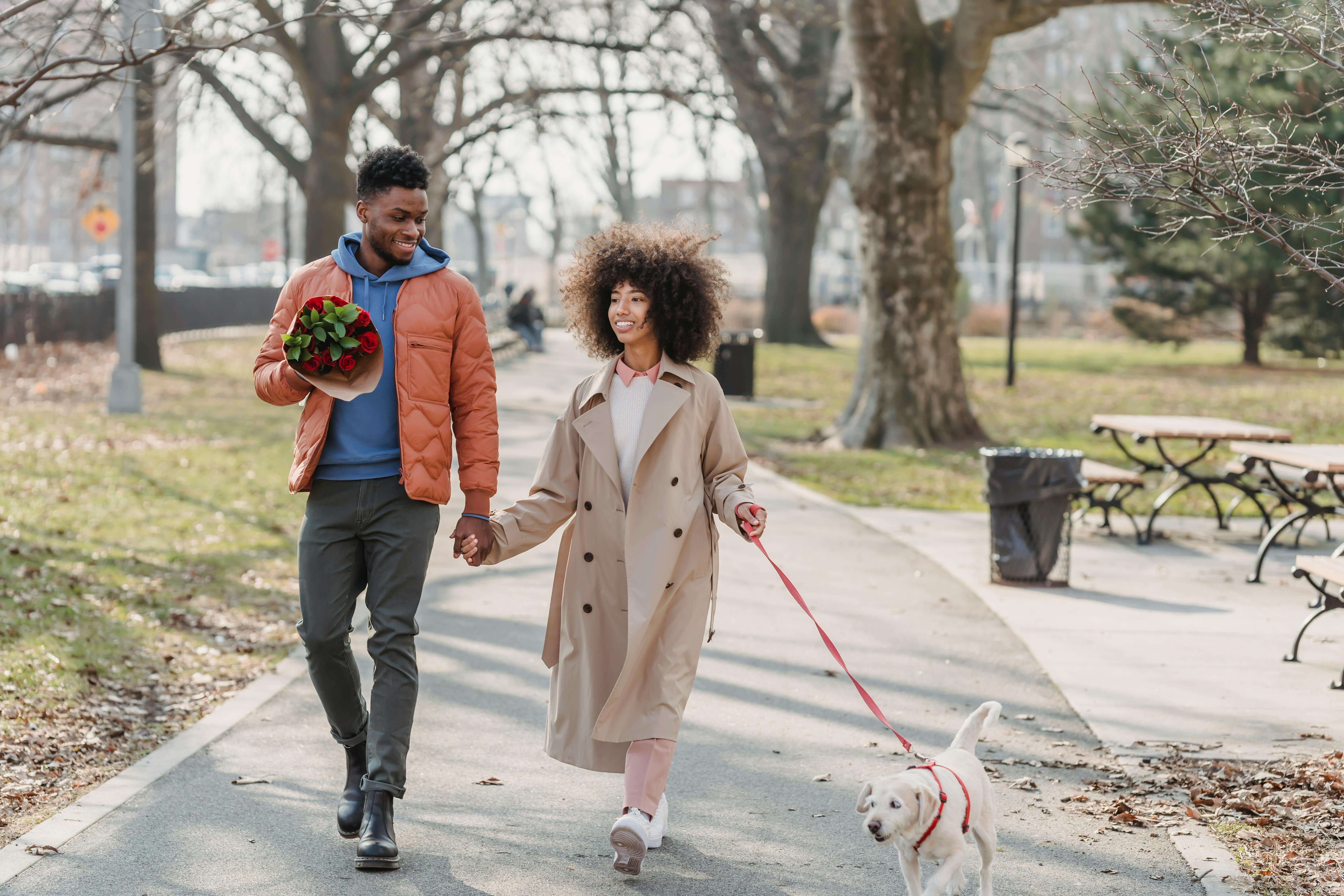 Full body of content African American couple with flowers holding hands while strolling on walkway with dog on leash during date